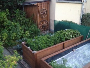 community garden